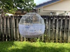 An Omlet Geo bird cages standing outdoors.