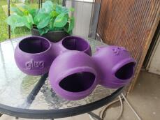 Purple glug and grub feeders for chickens