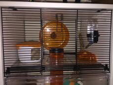 The top half of a Qute hamster and gerbil cage