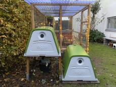 Two green chicken coops in a garden