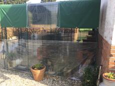 Omlet walk in chicken run with Omlet covers