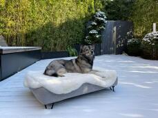 Dog laying on Omlet Topology dog bed with sheepskin topper and black hairpin feet