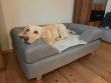 Topology memory-foam dog bed large