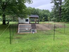 Chicken fencing around a coop and a shed in a grass field