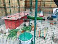 Omlet outdoor guinea pig run