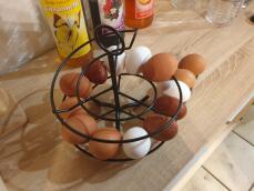 Black egg skelter with eggs