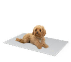 The Omlet cooling mat in grey.