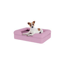 Dog sitting on small lavender lilac memory foam bolster dog bed