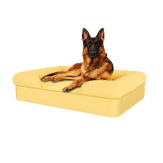 Dog sitting on mellow yellow large memory foam bolster dog bed