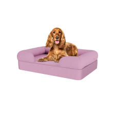 Dog sitting on lavender lilac medium memory foam bolster dog bed