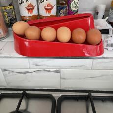 Eggs on a red egg ramp