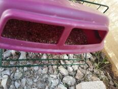 Well protected from rain for seeds