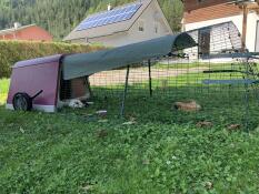 An Eglu Go rabbit hutch with a cover on