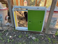 A green automatic door opener attached to an enclosure