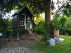 Homemade chicken coop with Omlet automatic door.