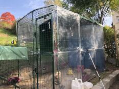 Omlet walk in chicken run with clear covers