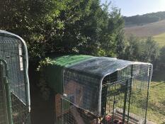 Omlet walk in chicken run with wooden chicken coop inside with Omlet green automatic chicken door attached