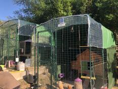 Omlet walk in chicken run with wooden chicken coop inside with Omlet green automatic chicken door attached