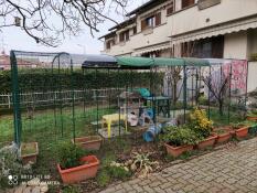 Omlet outdoor catio in the garden