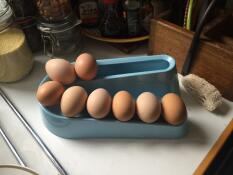 Filling up - just right for 2 hens!