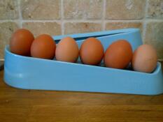 Blue egg ramp