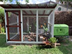 Green Eglu Cube large chicken coop connected to wooden run