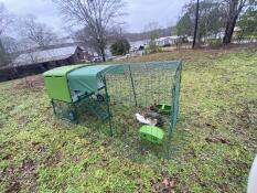 A large green Cube chicken coop with a cover over the top and a run attached and chickens inside