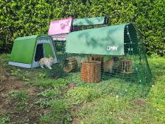 Hope and raf overjoyed with their new home!