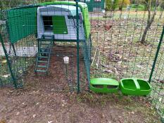 Omlet green Eglu Cube large chicken coop and run connected to Omlet walk in chicken run