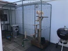 An Omlet outdoor cat run / catio complete with cat climbing tree.