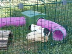 I am very happy with my pen. easy to assemble and disassemble. my 3 little guinea pigs are safe and secure. 