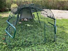 An Eglu Go rabbit hutch