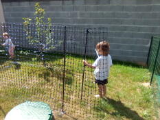 A little child helping in setting up chicken fencing