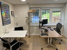 Cat friendly office!