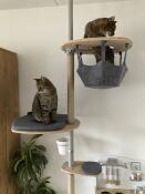 Scratching post