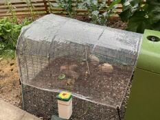 Raincover for quails