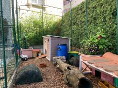 Inside Omlet walk in guinea pig run