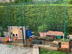 Omlet walk in guinea pig run