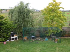Omlet walk in run in garden