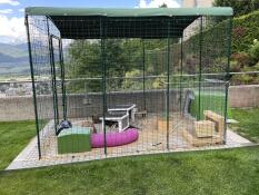 Green Eglu rabbit hutch connected to Omlet walk in rabbit run with green Zippi shelter and pink Zippi tunnel connected