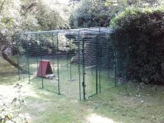 A large green walk in run setup for chickens