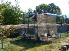 Omlet walk in chicken run in the garden