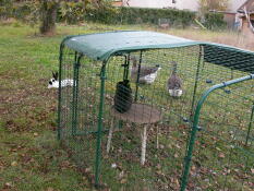 Our rabbit enclosure Omlet