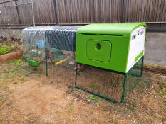 Omlet green Eglu Cube large chicken coop and run with covers