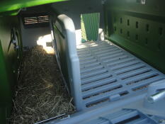 Inside Omlet Eglu Cube large chicken coop