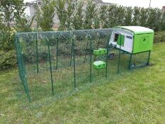 Omlet green Eglu Cube large chicken coop and run in the garden