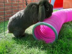Also suitable for small breeds of rabbit!