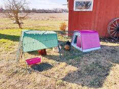 A pink coop with a two meter run