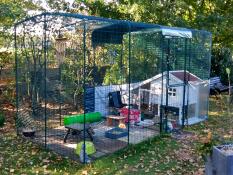 A chicken living area covered and protected by a walk in run