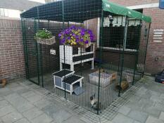 A large walk-in run with a rabbit wooden hutch inside